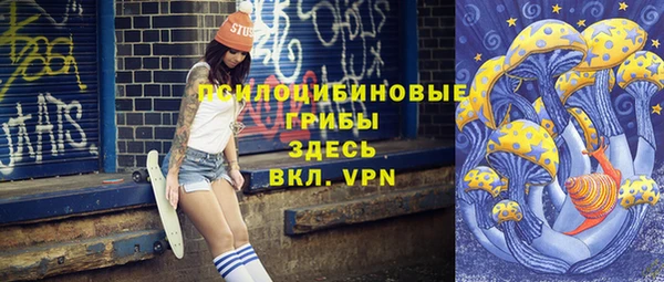 винт Няндома