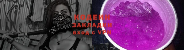 винт Няндома