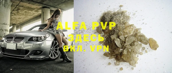 индика Аркадак
