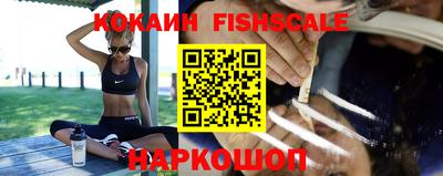 спиды Заводоуковск