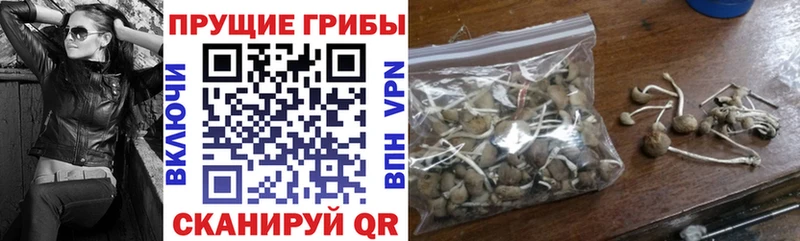 Галлюциногенные грибы мухоморы  Чистополь 