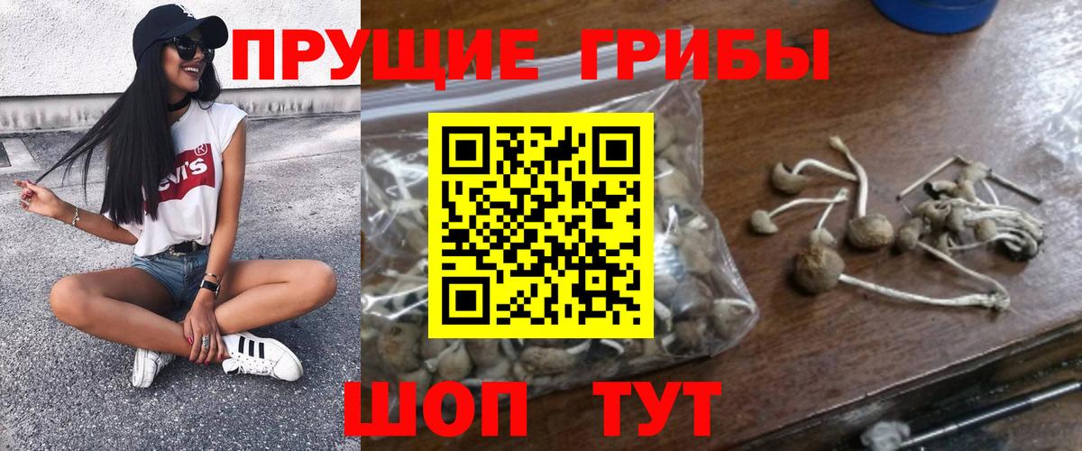Псилоцибиновые грибы прущие грибы  Вход с VPN  Чистополь 