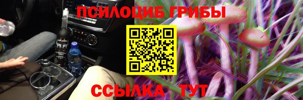Галлюциногенные грибы мухоморы Чистополь